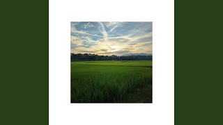 Download Lagu Where Is the Love MP3