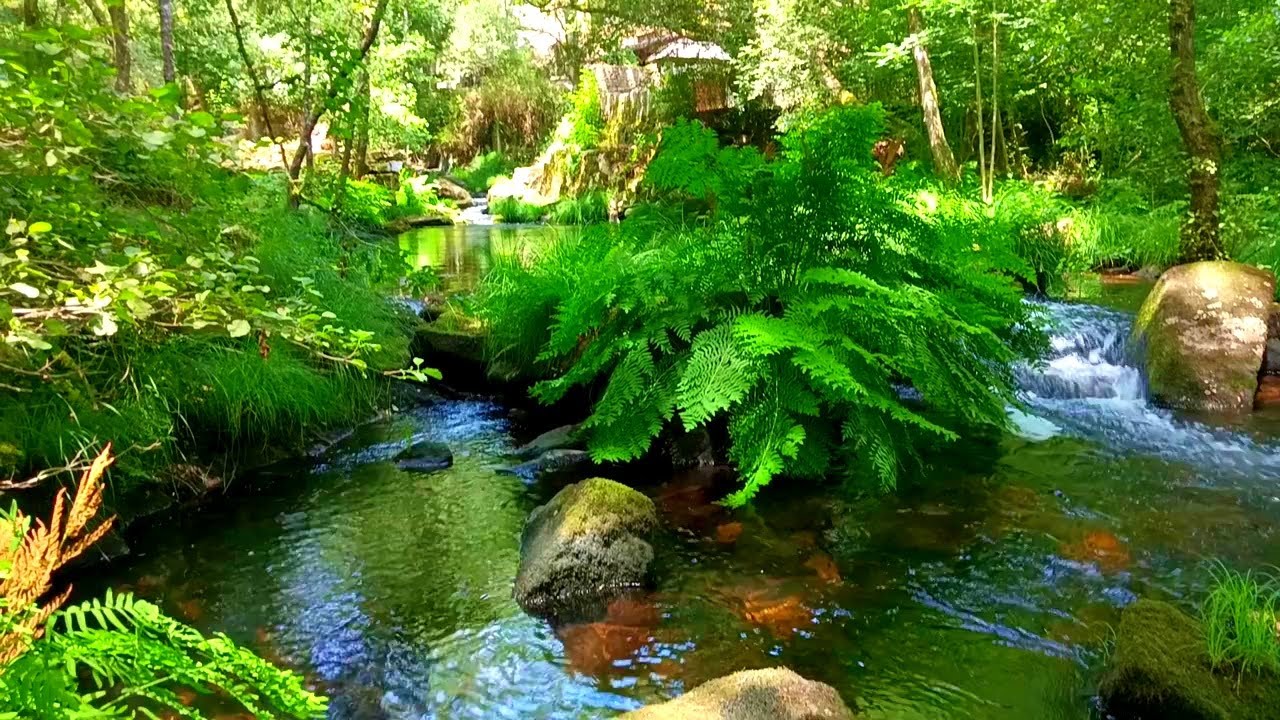 🇪🇸 🌳 Lugo (Ciudad) (Tráiler) #Senderismo #Galicia #España