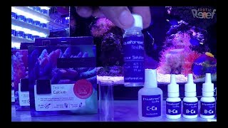 Test de aquaforest calcio alcalinidad y magnesio||||||😉👍