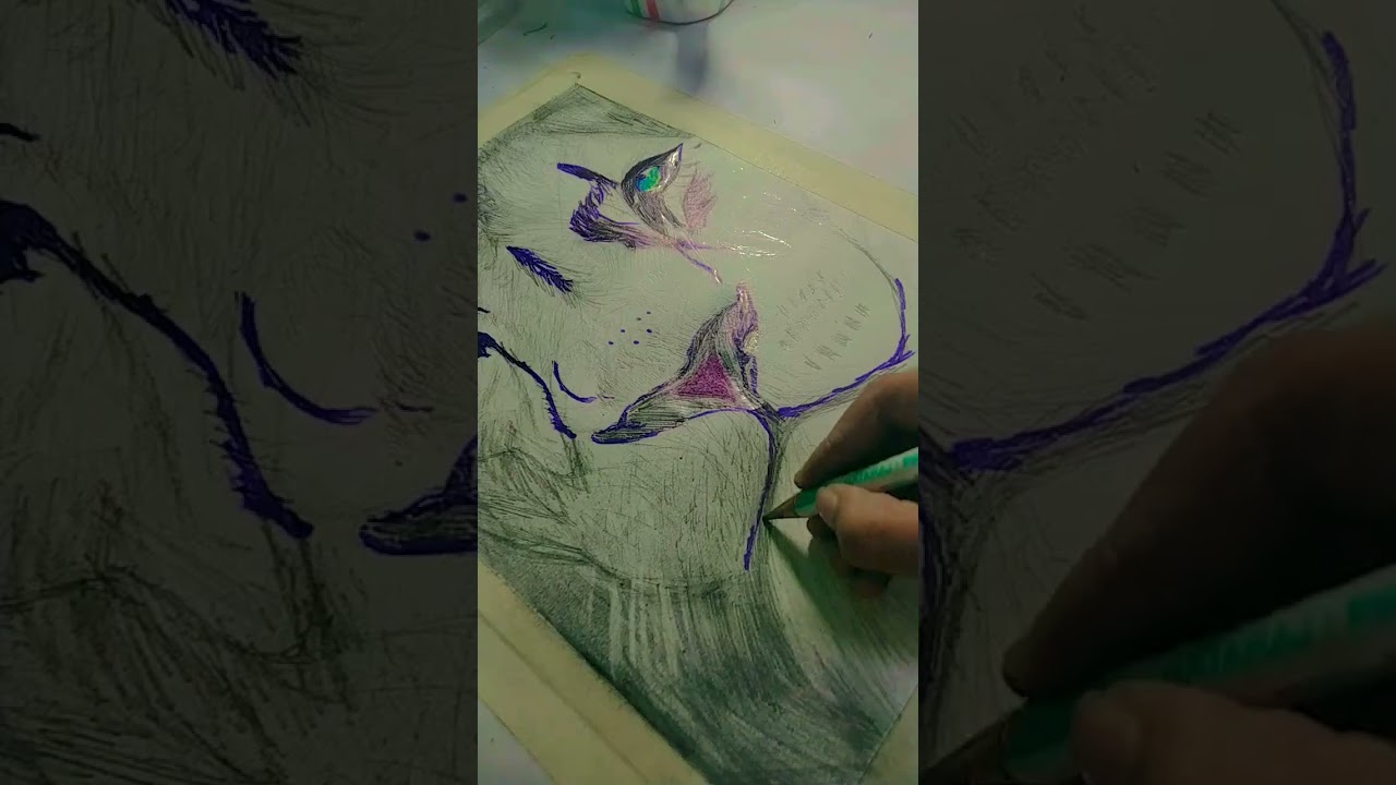 how to draw a lion (a white realistic lion drawing 