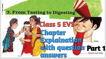 From Tasting to Digesting |Class 5 EVS |Chapter 3  Page 22 to 25 Explained with Question Answers