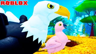 EAGLE LIFE Baby! CRAZY DADDY and THE OWLS! | ROBLOX Feather Family screenshot 3