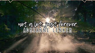 Download Lagu not a lot, just forever-adrianne lenker (slowed + reverb) MP3
