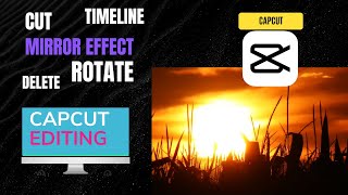 Capcut Intro How To Cut Split Delete And Mirror Effect In Capcut