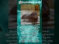 #avasiyamkarpom #youtubeshorts #subscribe #shortvideo #நீர்யானைகள் #hippopotamus #education #kids