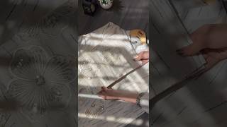 Aria White 🤍Shop now at: https://bit.ly/sahibasbymirza__#foryoupage #viralvideo #trendingsound