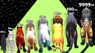 CAT RUN 3D – Cat Evolution 🐱 | Level Up | MAX LEVEL | Satisfying Gameplay screenshot 1