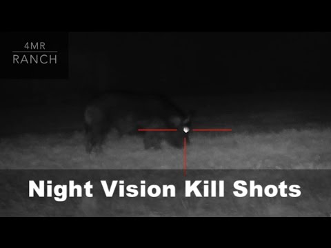 first-hunt-with-the-atn-x--sight-ii-hd-(kill-shots)