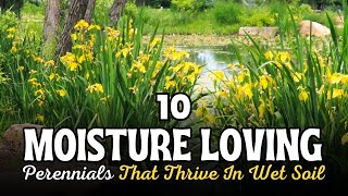 10 Moisture Loving Perennials That Thrive In Wet Soil  Wet Garden Plants