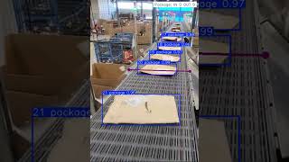 Real-Time Object Counting on Conveyor Belt | YOLO Object Tracking for Package Counting