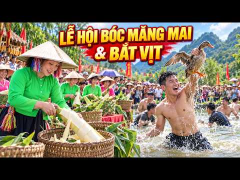 Bamboo shoot harvesting