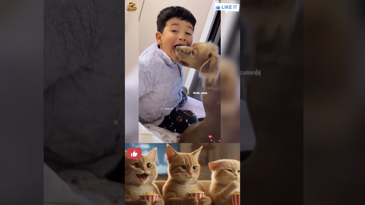 😬 Unexpected Event! – Part 4 | funny fails 