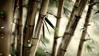 Fantastic Nature Screensaver http__www.screensavergift.com