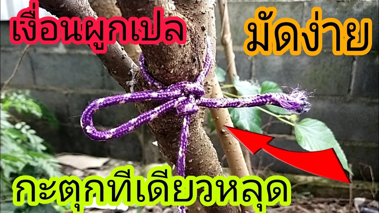 💢กะตุกทีเดียวหลุด...มัดเชือกผูกเปลแบบง่ายๆ/พ่อบ้านยุคใหม่/💢