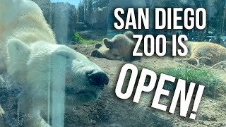 San Diego Zoo Open | So Good to be Back!