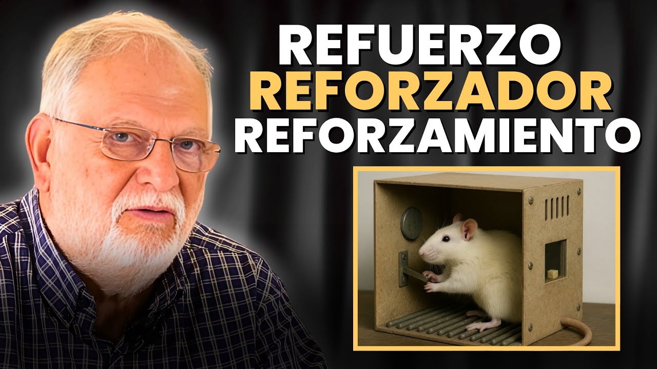 Entiende por fin las DIFERENCIAS entre REFUERZO, REFORZADOR y REFORZAMIENTO - Santiago Benjumea