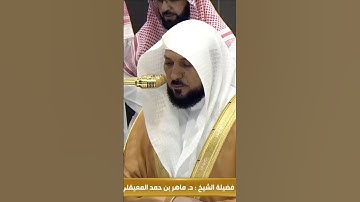 تلاوة من سورة الفاتحة للشيخ ماهر المعيقلي من صلاة. العشاء اليوم🤍. #ماهرالمعيقلي