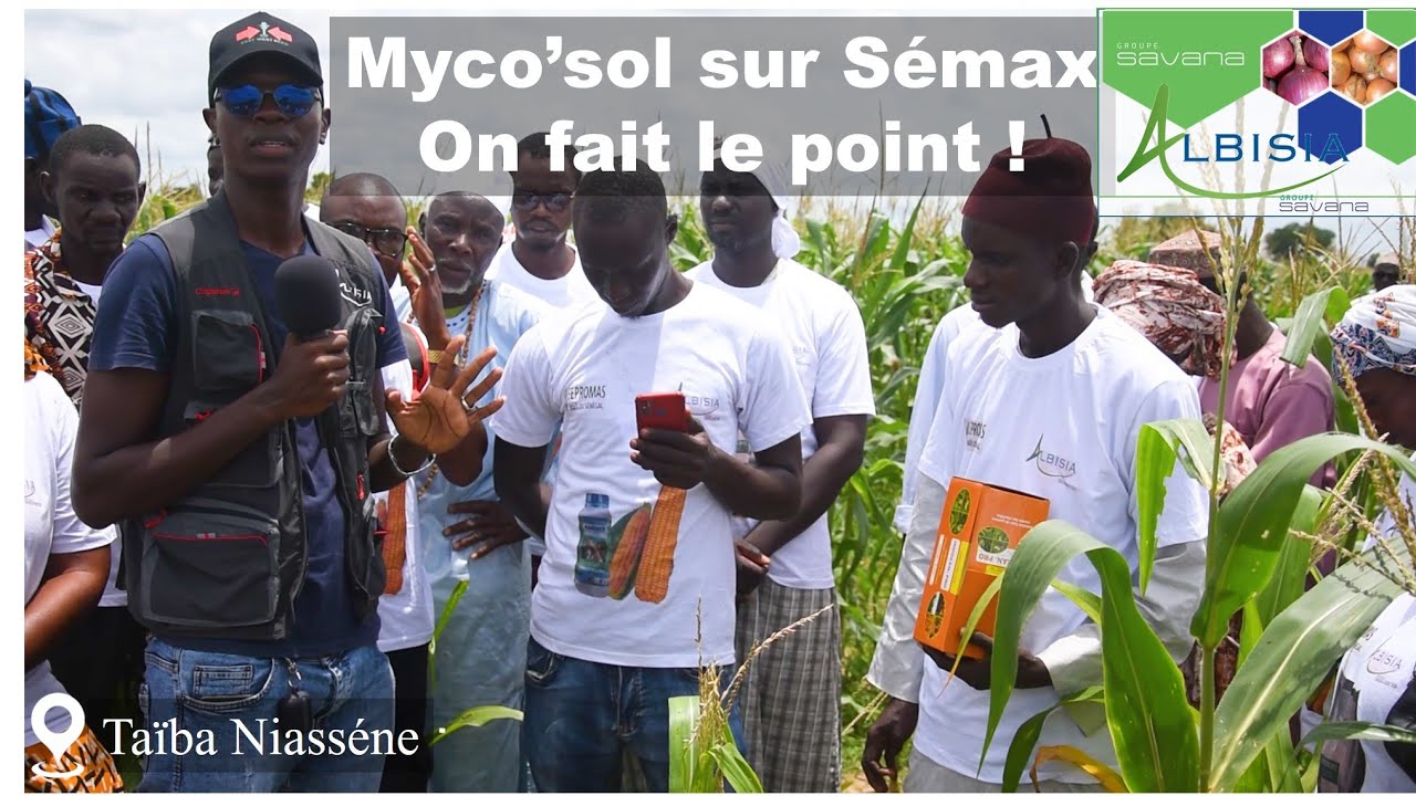 Myco'sol sur Sémax : Quelques précisions.