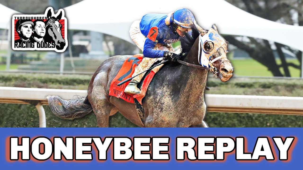 2023 Honeybee Stakes Replay | WET PAINT Continues Wet Track Domination; Kentucky Oaks Favorite?