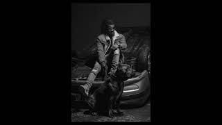 Timal - J'suis dans la ville [Exclu]
