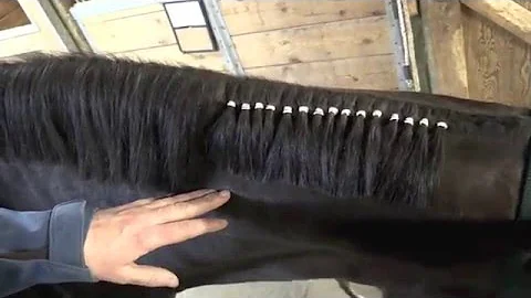 How To: Band Your Horse's Mane for Western Classes