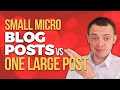 Small Micro Blog Posts vs One Large Blog Post