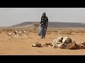 Somalie : le spectre de la famine se précise (Nations Unies)