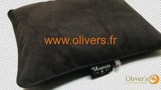 Matelas chien en 70x55 cm vidéo