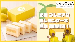 【３分で完売】テレビで話題のスーパーすっぱいスイーツ「紀州プレミアム生レモンケーキ」をとことん深堀り！【KANOWA】
