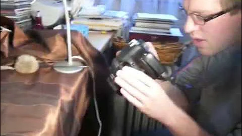 Watch the video about 2 weeks old burmese baby cats