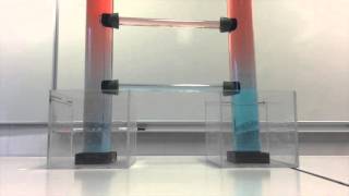 TPE: la circulation thermohaline