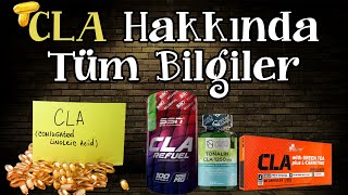 Everything About CLA (7 questions - 7 answers) screenshot 4