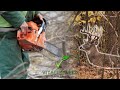 Creating Better Deer Bedding With A Chainsaw!