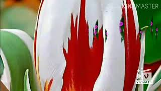 Download Lagu Sagar me tarang hai ..songs Hindi MP3