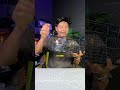 Rak Dinding Rak Dapur Serbaguna