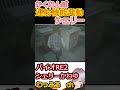 【バイオハザードre2】みんな大好き!シェリーとかくれんぼ!コントローラーの連射機能が発動でがくぶるシェリー【わっふるTV】【#shorts】