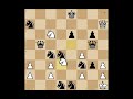 11,635 Mate in 1s in a single chess game