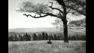 What Lack Of Love Has Done By Nick Lowe