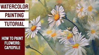 WATERCOLOR Painting TUTORIAL - How to Paint FLOWERS: CAMOMILE