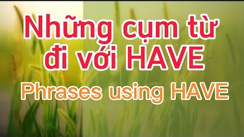 Những cụm từ đi với HAVE | Phrases using HAVE.