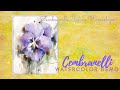 Purple Pansy - Watercolor/Aquarela - Demo