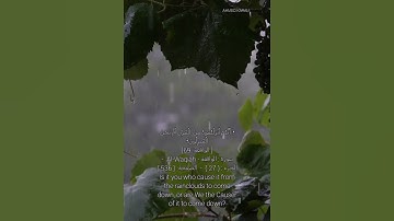 سورة الواقعة - أَفَرَأَيْتُمُ الْمَاءَ الَّذِي تَشْرَبُونَ - المنشاوي