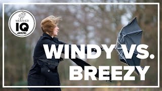 Weather IQ: Windy vs. breezy