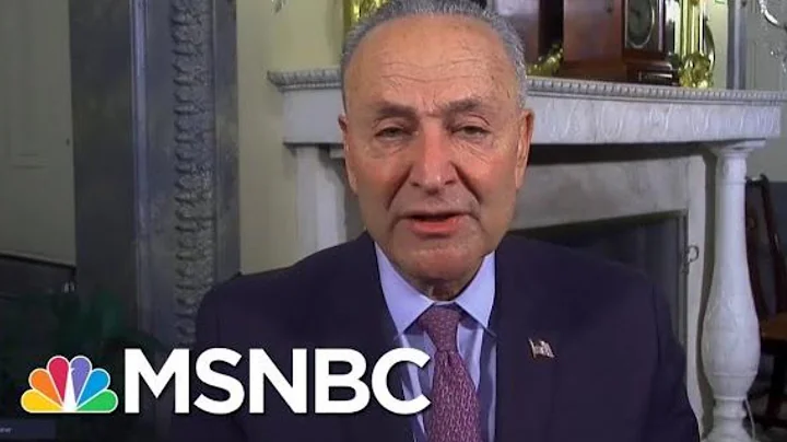 Schumer: Biden Judicial Nominations To Follow Once Cabinet Is Filled | Rachel Maddow | MSNBC