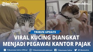 Viral Kucing Bernama Soleh Diangkat Jadi Pegawai Kantor Pajak