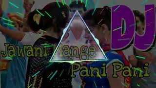 Jawani Mange Pani Pani Dj Remix  Hariyanvi Dj Song  Hard Bass Dj Song