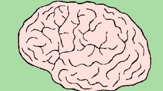 The Multiple intelligence song (Vishwa happiness foundation)