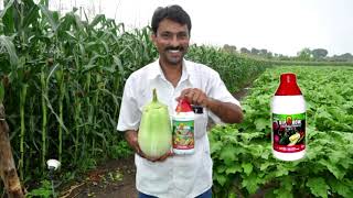 D I Grow   Organic Foliar Fertilizer   3 5 Mins  1