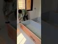 DIY Modern Plywood Bed Build 🔥 Bed Making Process | Satisfying Woodworking #Shorts #shortvideo