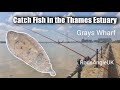 Catch Fish in the Thames Estuary: GRAYS WHARF